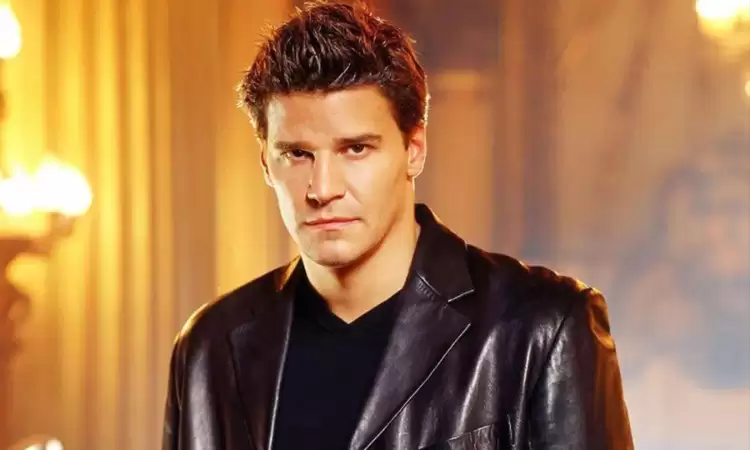 Quick info about David Boreanaz