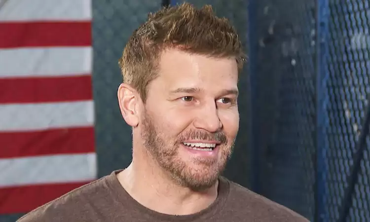 David Boreanaz Biography